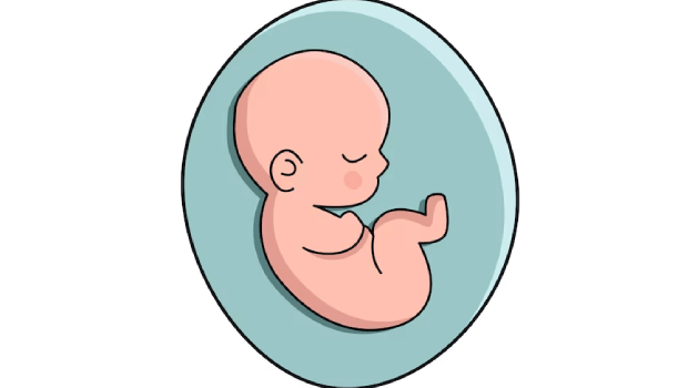 علائم جدا شدن جفت از جنین