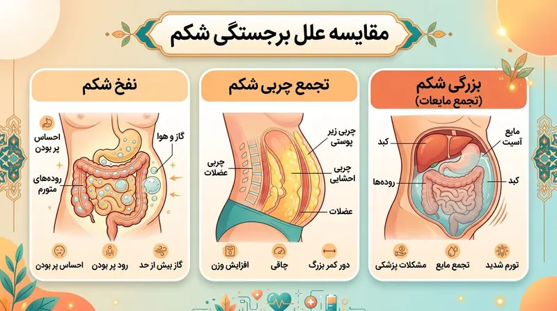 اینفوگرافیک تفاوت نفخ با بزرگ شدن شکم واقعی