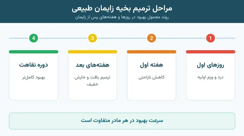 اینفوگرافیک مراحل زمانی ترمیم بخیه زایمان طبیعی